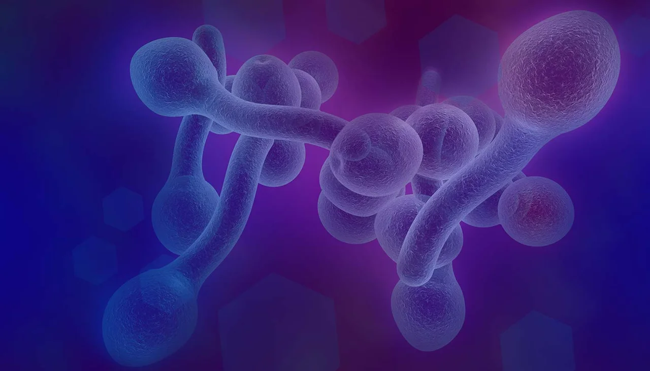 Yeast Overgrowth – Triggers and Treatments Yeast Overgrowth – Triggers and Treatments