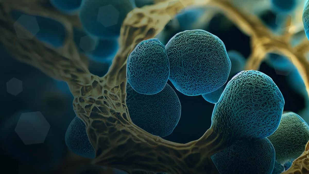 Deconstructing Candida: A Root Cause Approach to Addressing Yeast Overgrowth Deconstructing Candida: A Root Cause Approach to Addressing Yeast Overgrowth