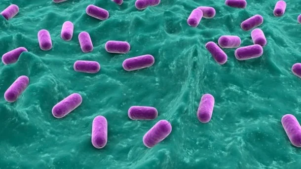Autoimmune Disease – What Lies Beneath Autoimmune Disease – What Lies Beneath