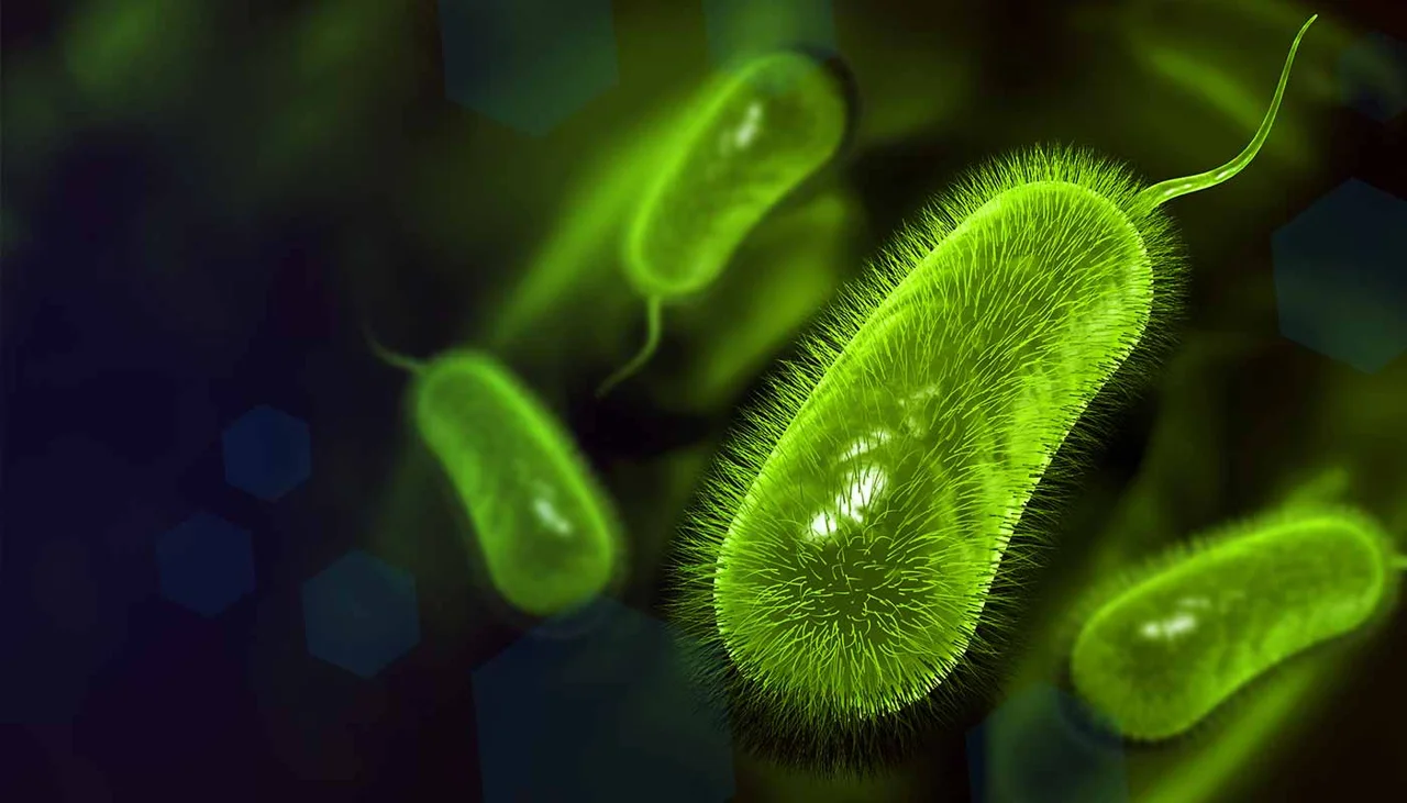 H. pylori – From Diagnosis to Therapeutics H. pylori – From Diagnosis to Therapeutics