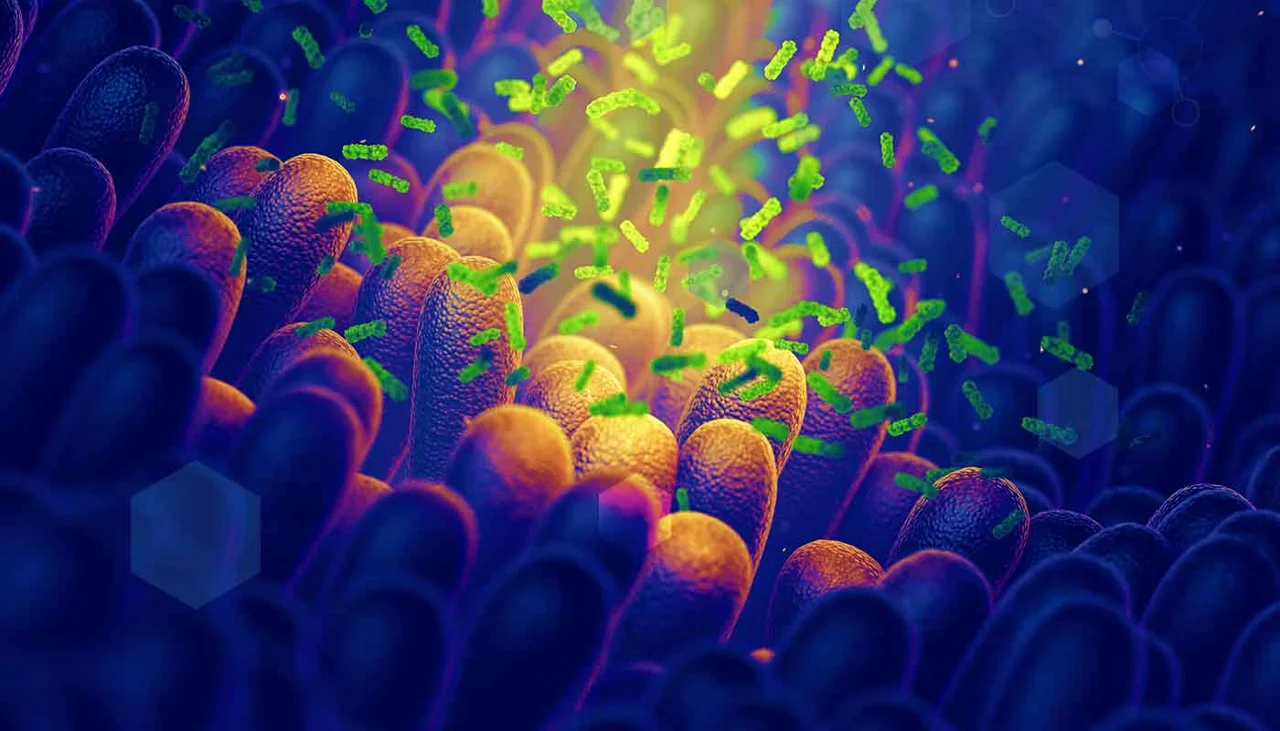 Beyond Leaky Gut – Intestinal Barrier Assessment with GI-MAP™ Beyond Leaky Gut – Intestinal Barrier Assessment with GI-MAP™