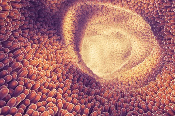Understanding Common Dysbiosis Patterns with GI-MAP Understanding Common Dysbiosis Patterns with GI-MAP