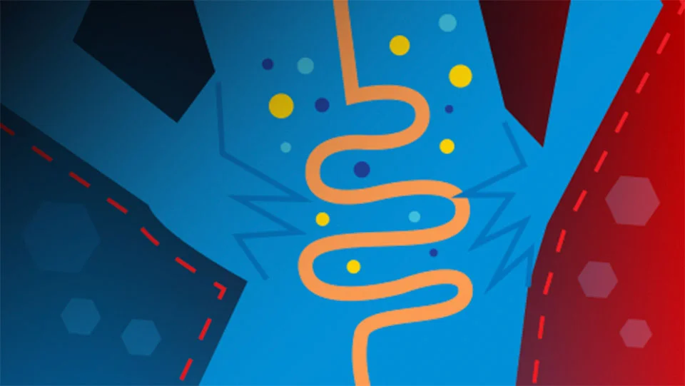 5 Ways to Spot Gut-Brain Axis Imbalances Using GI-MAP 5 Ways to Spot Gut-Brain Axis Imbalances Using GI-MAP