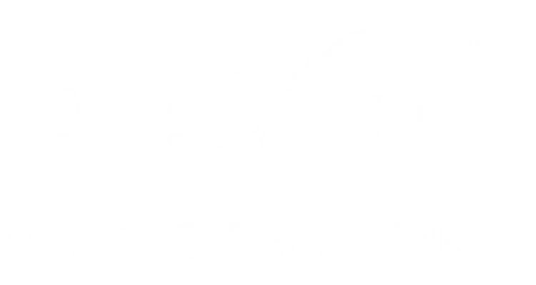 IgE Allergy Explorer™ IgE Allergy Explorer™