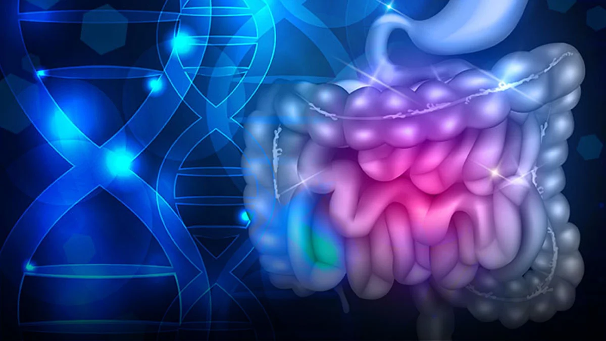 Restoring Intestinal Barrier Function During Aging with Insights from GI-MAP Restoring Intestinal Barrier Function During Aging with Insights from GI-MAP