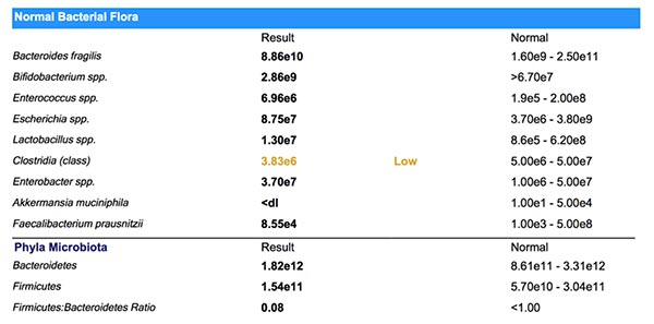 Normal Bacterial Flora Results