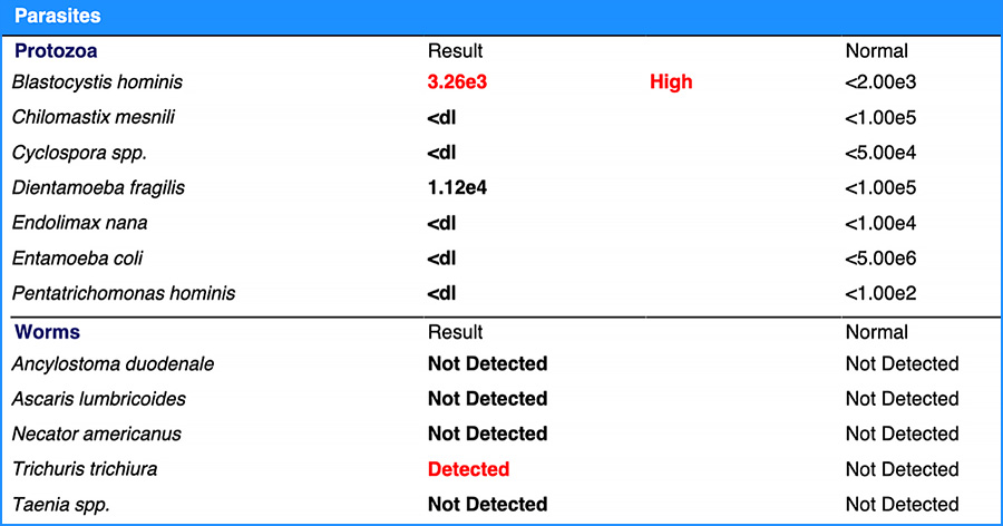 Grace's GI-MAP Findings