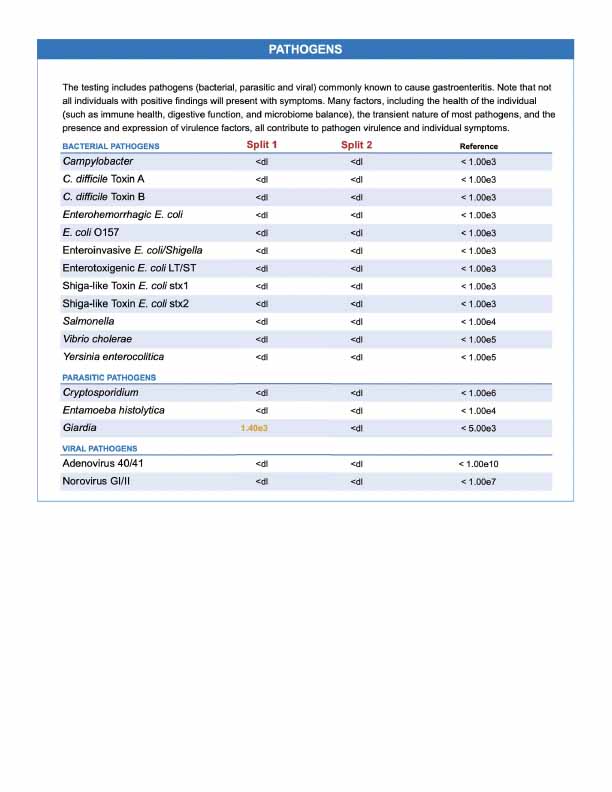 View Figure 1 PDF Figure 1- Sample 1 Split