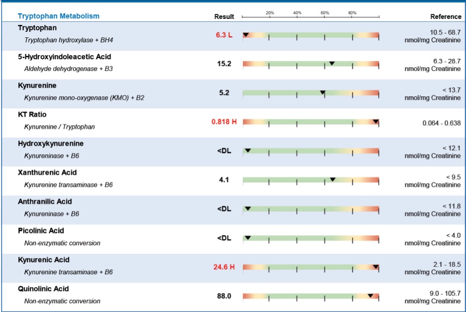 Tryptophan Metabolism Example