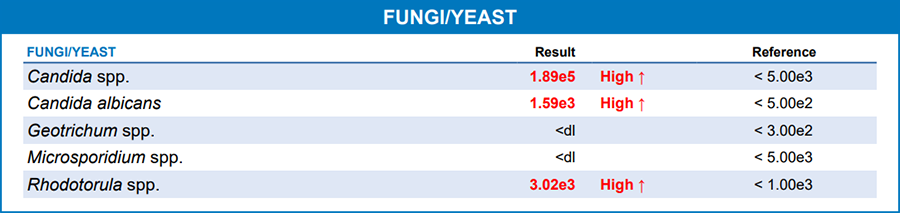 Brenda's GI-MAP Findings