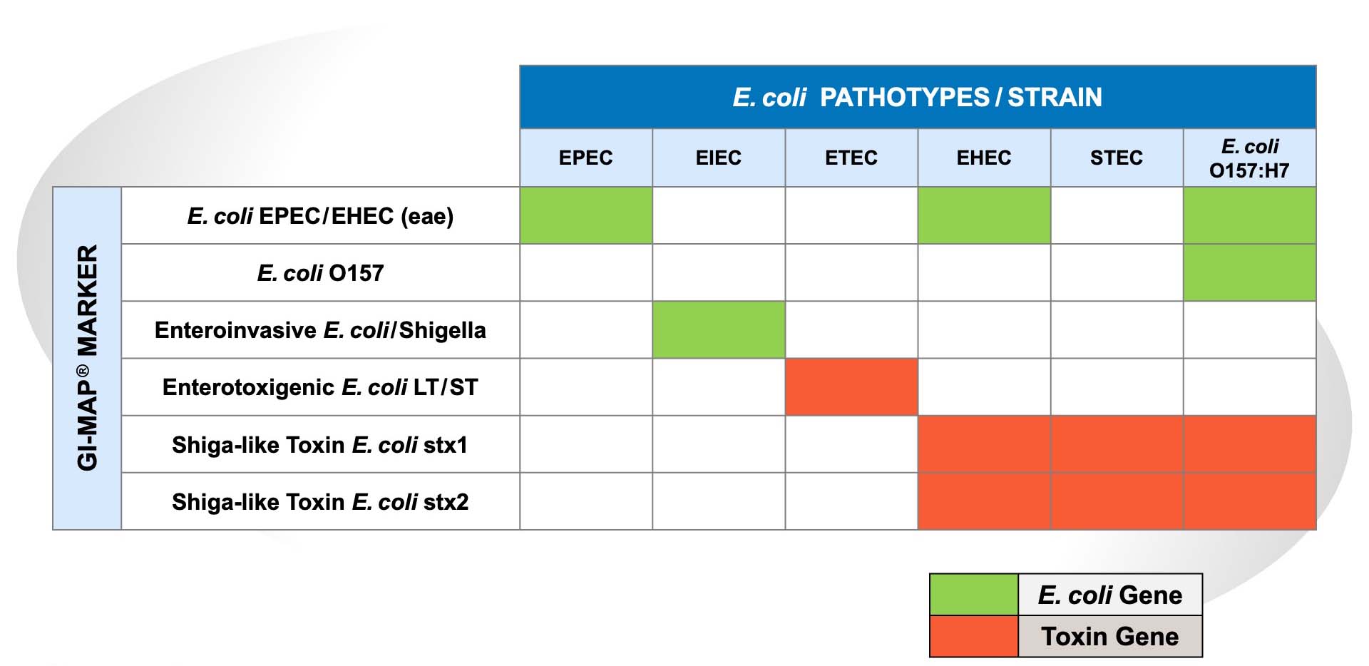E. coli Pathotypes