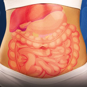 Gut Health