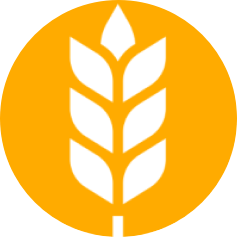 Fecal Gluten Peptide