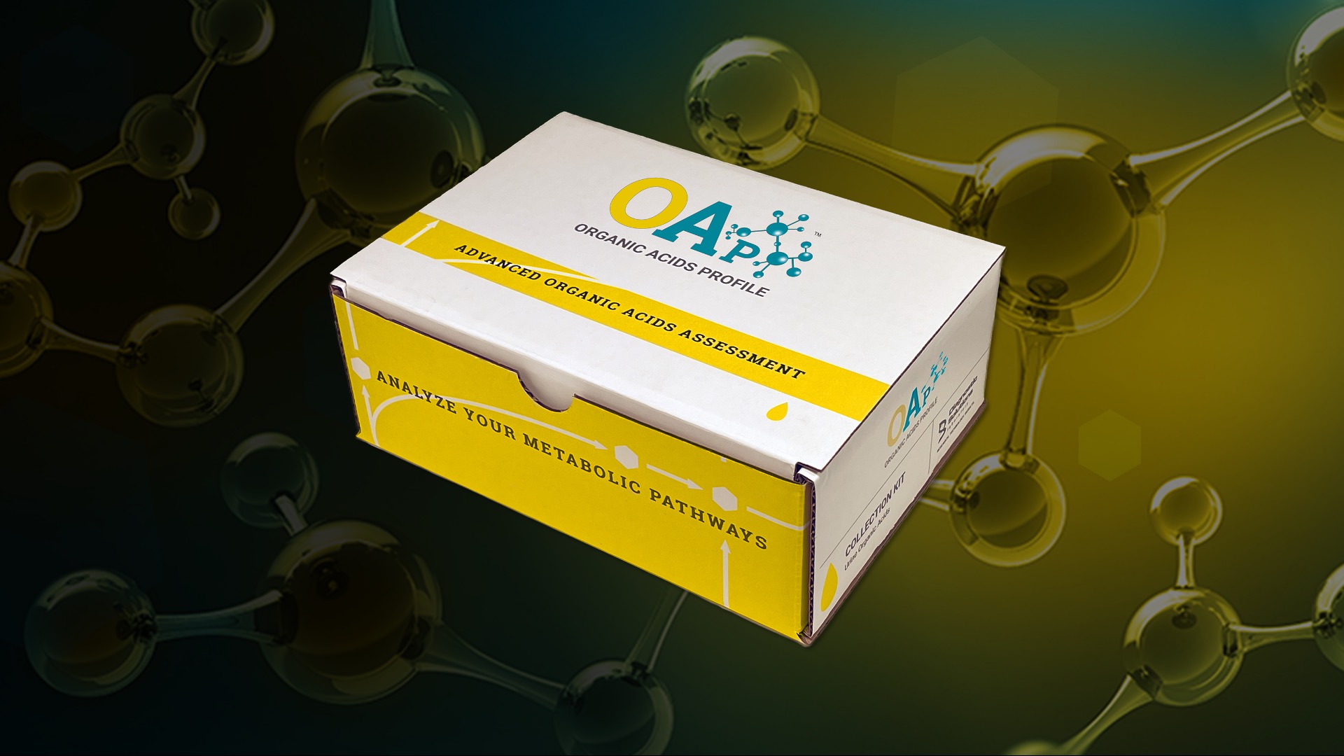 dr berg glutathione supplement Amazon.com: Dr. Berg Nutritionals Yeast Tablets – Natural B12 Added - All 8  B Vitamin Complex – Organic Vanilla Flavor