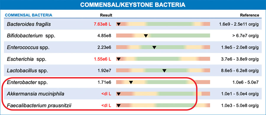 Diane's Commensal/Keystone Bacteria Findings
