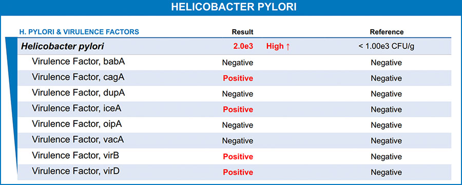 Christina's Helicobacter Pylori Findings