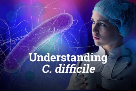Understanding C. difficile