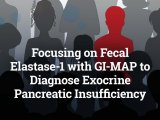 Focusing on Fecal Elastase-1 with GI-MAP to Diagnose Exocrine Pancreatic Insufficiency