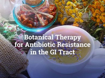 Botanical Therapy for Antibiotic Resistance in the GI Tract